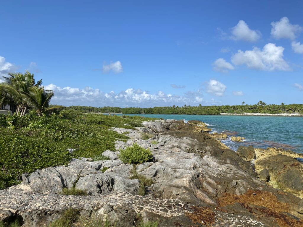 Mexique : visiter le yucatan, ses cenotes et temples maya 4 akumal mexique plage non touristique