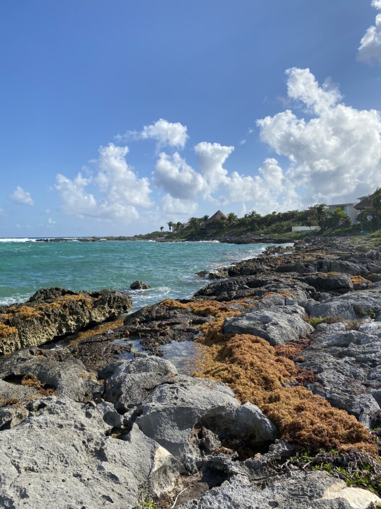 Mexique : visiter le yucatan, ses cenotes et temples maya 6 IMG 1561