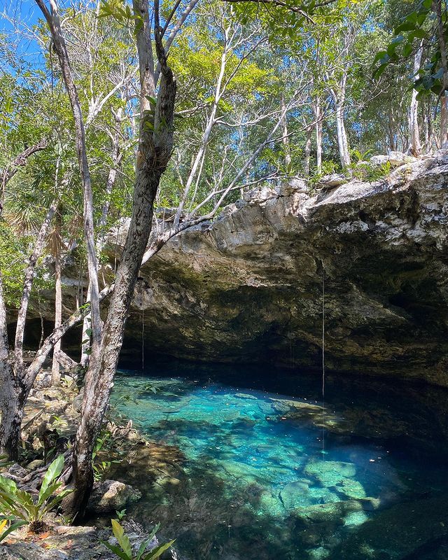 Photo d'une cénote magnifique à l'eau bleu transparente avec de la végétations autour