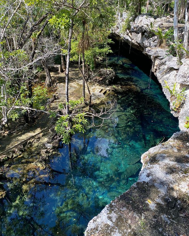 Photo d'une cénote magnifique à l'eau bleu transparente avec de la végétations autour