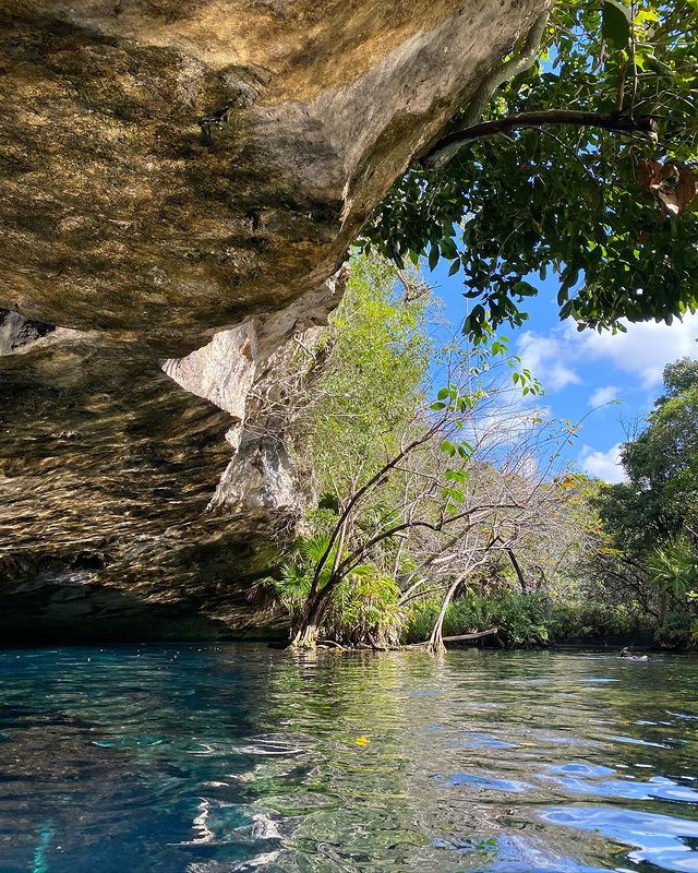 Photo d'une cénote magnifique à l'eau bleu transparente avec de la végétations autour