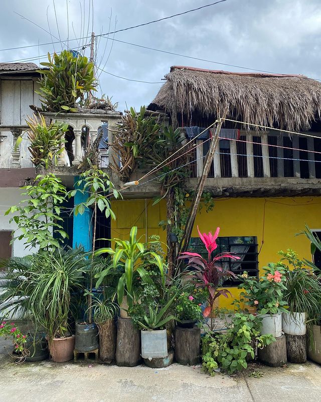 Maison coloré Mexique, maison recouverte de plantes