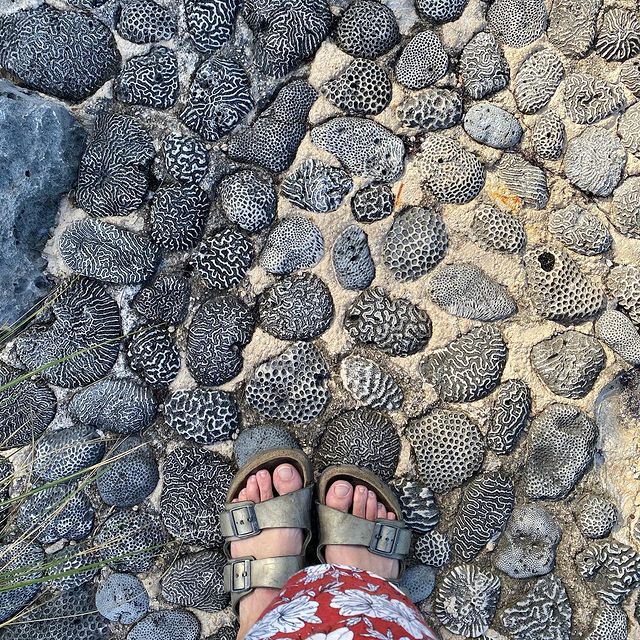 Photo d'un sol de corail avec des pieds avec des sandales