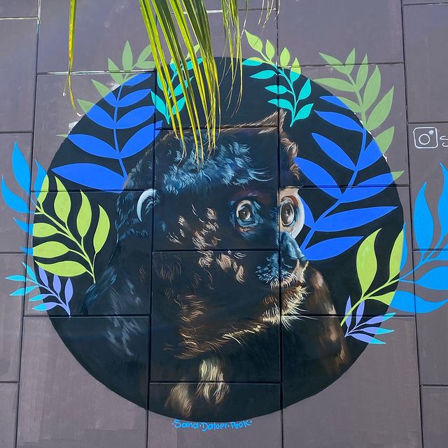 Street art d'une singe coloré 