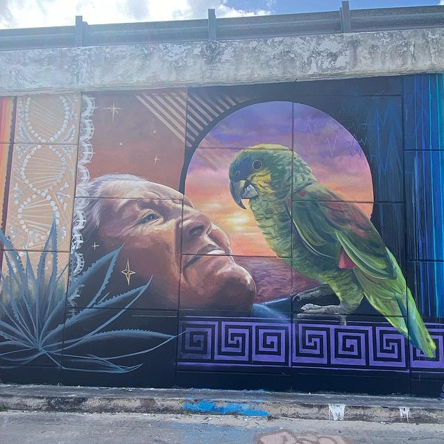Street art coloré d'une veille dame qui regarde un perroquet 
