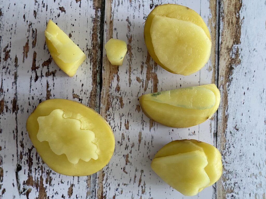 Faire des fleurs à partir de tampons en pomme de terre 2 tuto tampon pomme de terre