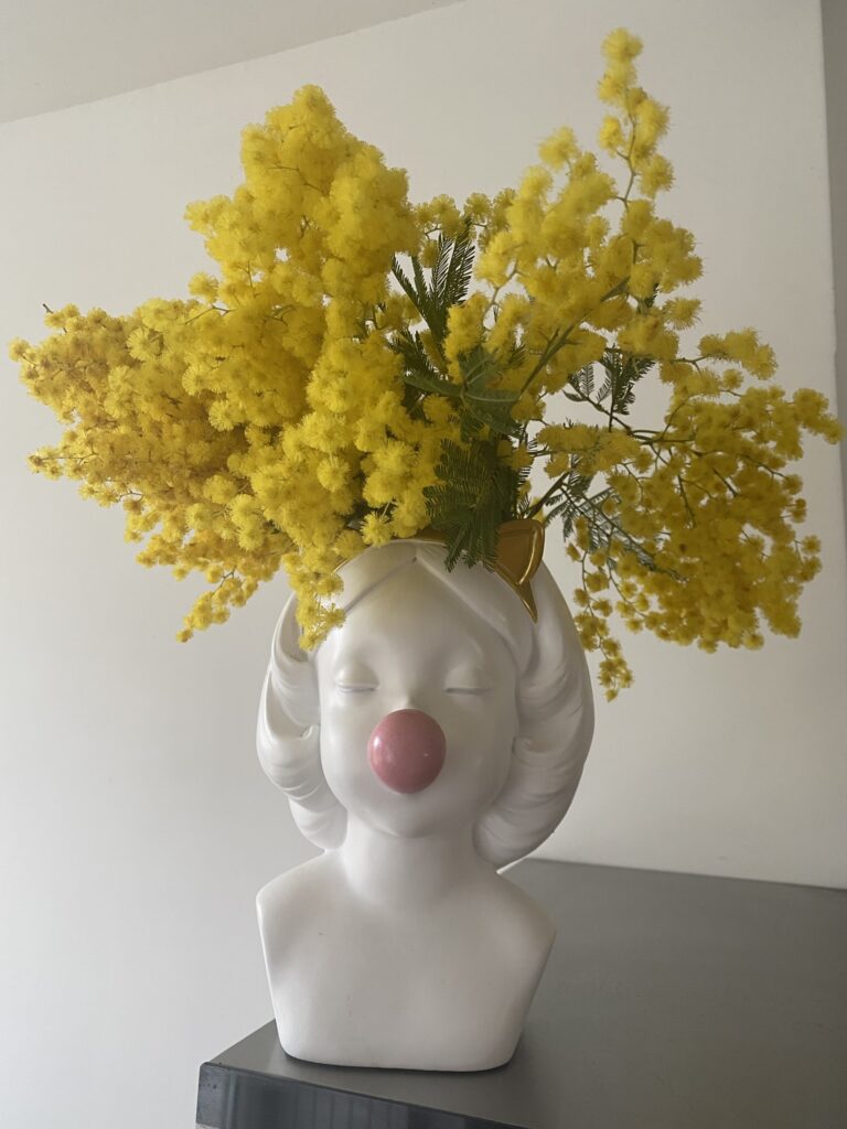 mimosa vase fille bulle chewing gum