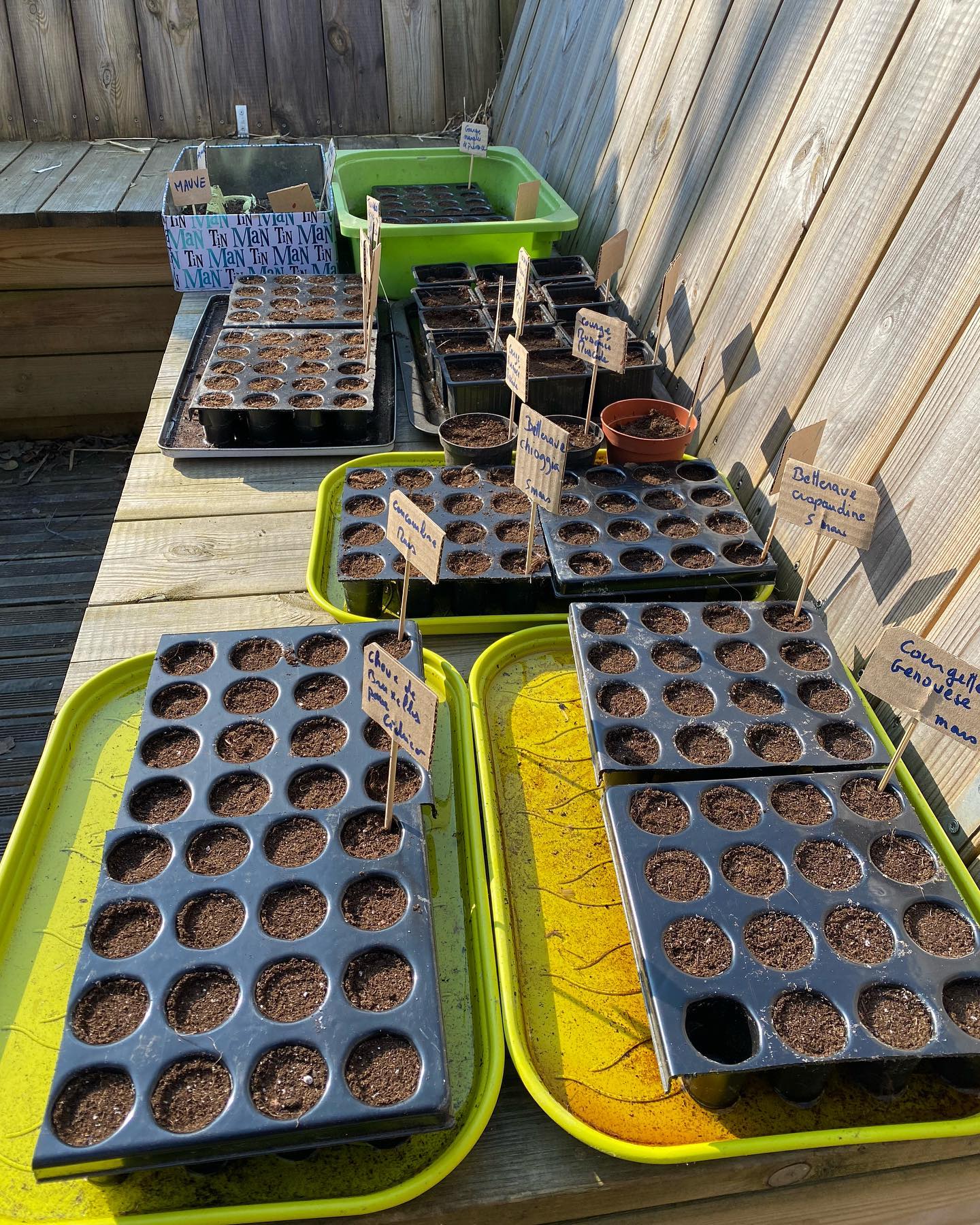 Je retente les semis pour mon potager 6 C’est parti mes semis ! Avec l’aide d’un ami, on a remis les mains dans la terre pour deposer plein de graines dans des petits godets. Ils vont attendre au chaud chez moi, rapport que dans ma serre non chauffée, c’est pareil que si je les mettais en terre directement. Dans un gros mois, on se revoit pour faire le point et se répartir nos précieuses pousses ! J’en ai profité pour faire aussi le point de ma grainothèque. Et je me retrouve un peu comme devant mes placards à me demander pourquoi j’ai 10 sachets de graines de tomates (conserves) et zéro potiron (autre truc utile). Ca vous le fait aussi, l’achat systématique d’un truc que tu as déjà en plein d’exemplaires ? ?Qui fait ses semis sinon ? Moi je retente avec mon super ami mais sinon je crois que j’aurais été tentée par les gros plants déjà poussés du commerce ??. #lejardindeciloubidouille #lesplantesdeciloubidouille #potagerbio #permaculturefrance #semijardin #semis