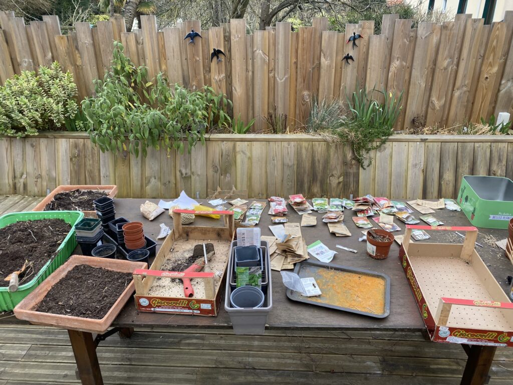 Je retente les semis pour mon potager 1 faire des semis en mars