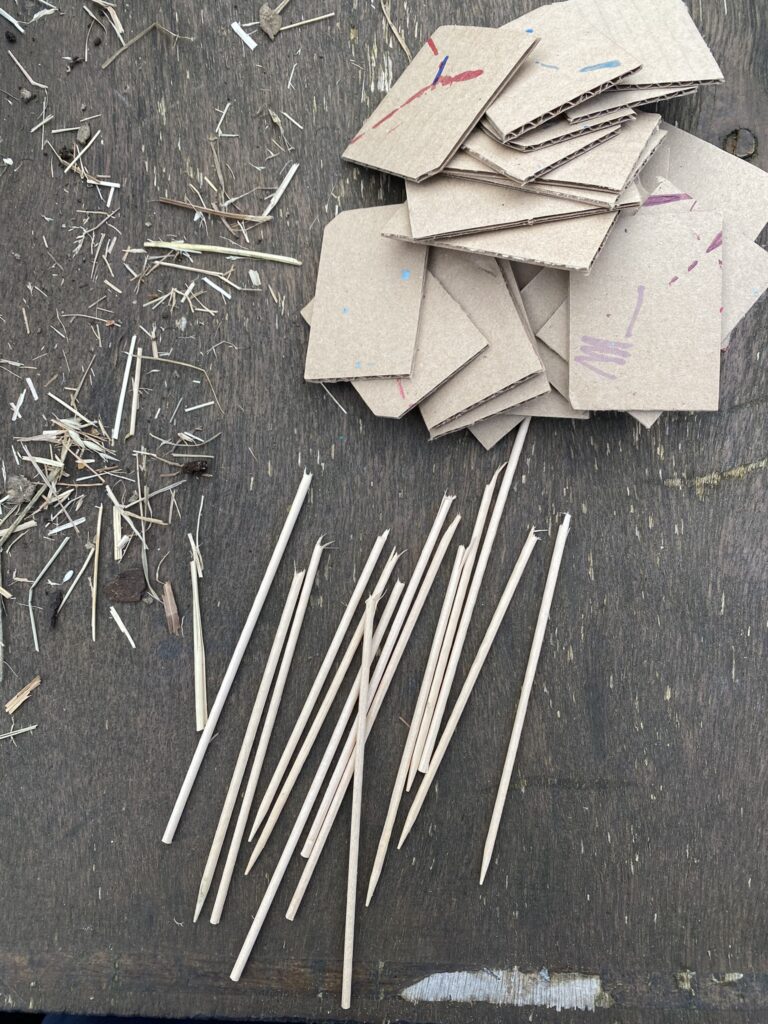 Je retente les semis pour mon potager 4 IMG 3320