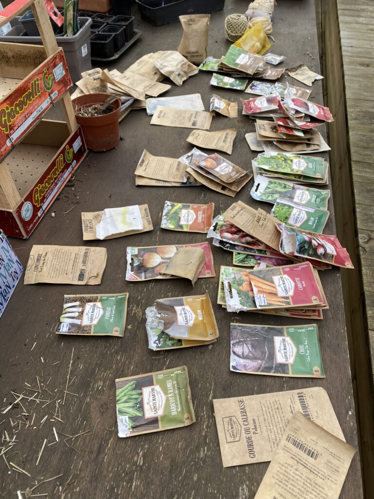 Je retente les semis pour mon potager 2 tri de la grainothèque à la saison des semis