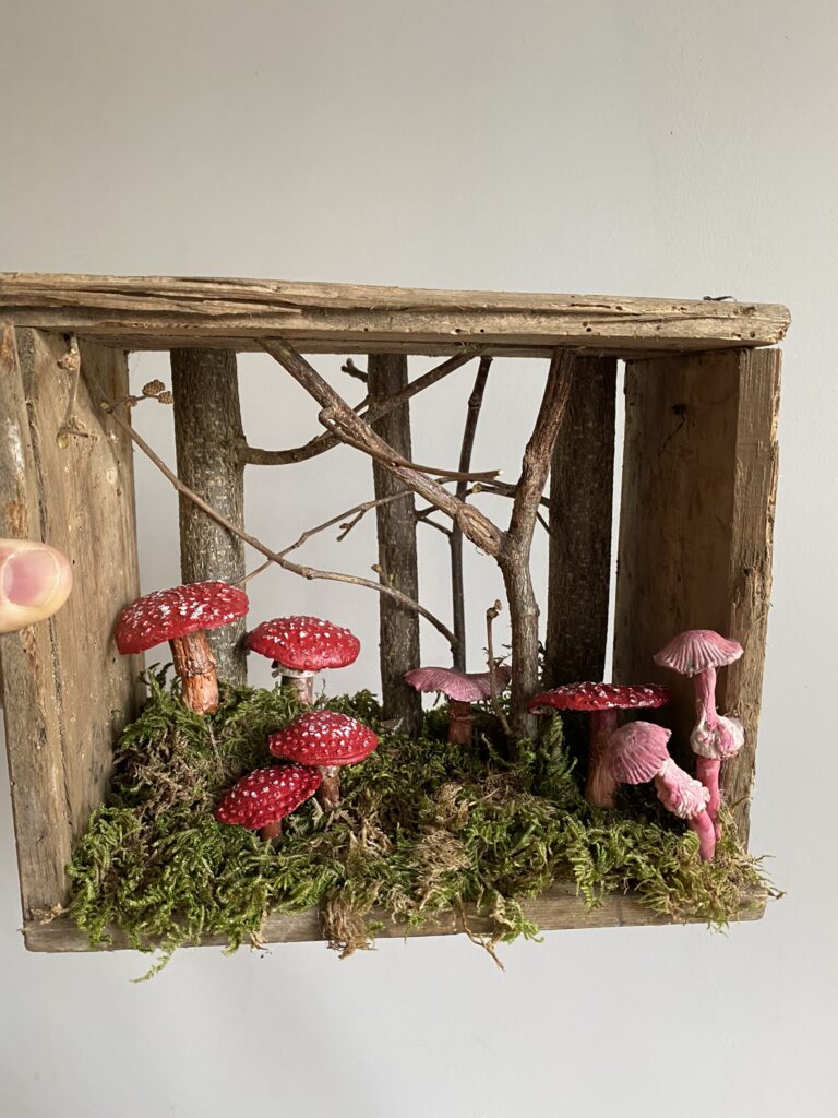 diorama représentation des champignons en sous-bois
