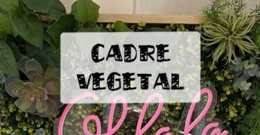 cadre vegétal