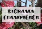 diorama champignon