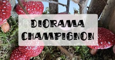 diorama champignon
