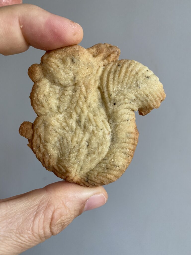 biscuit écureuil