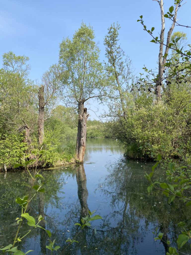 saint quentin parc d'isle