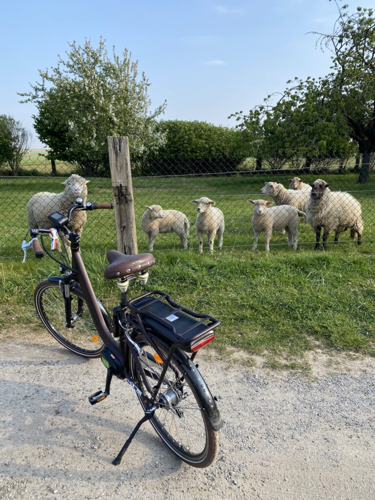 Saint Quentin, Chauny, Familistère, Eurovélo3... Vive l'Aisne ! 29 IMG 5414