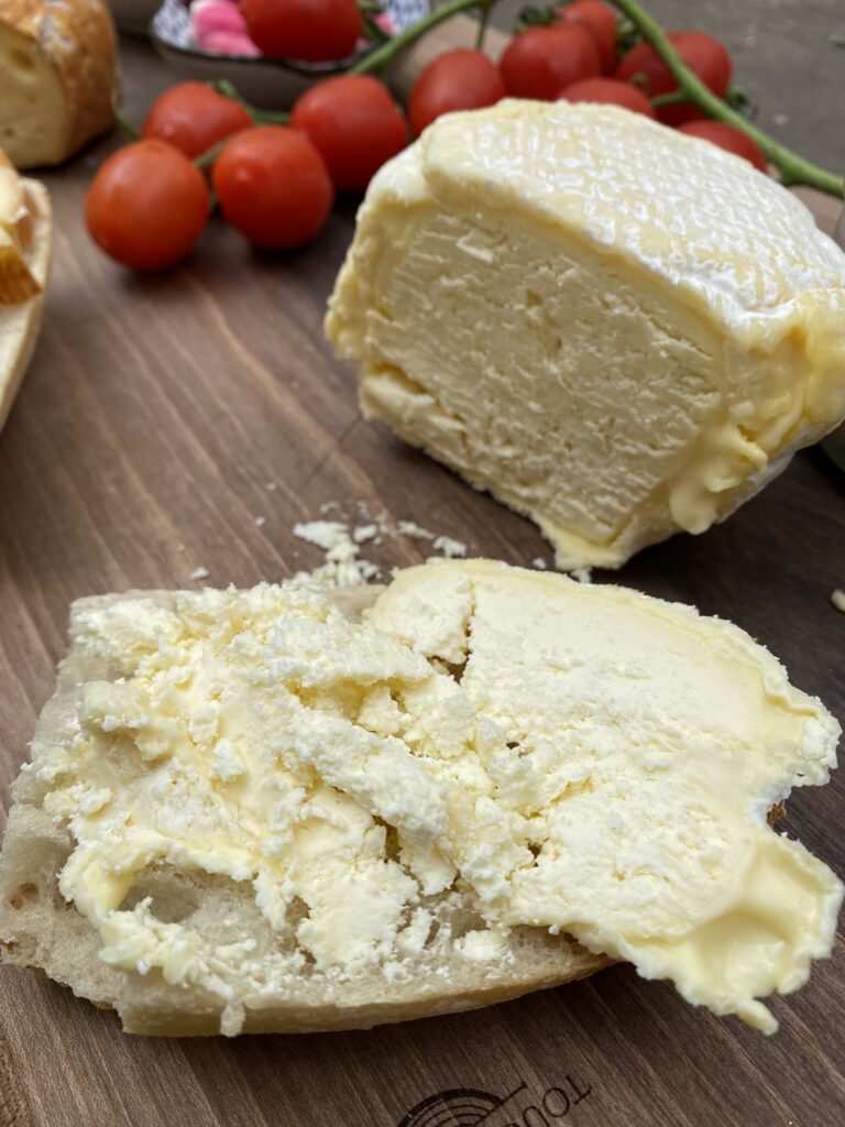 Saint Quentin, Chauny, Familistère, Eurovélo3... Vive l'Aisne ! 75 fromage ferme de la paturelle