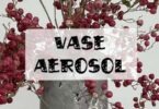 recycler une vieille bombe de peinture en vase