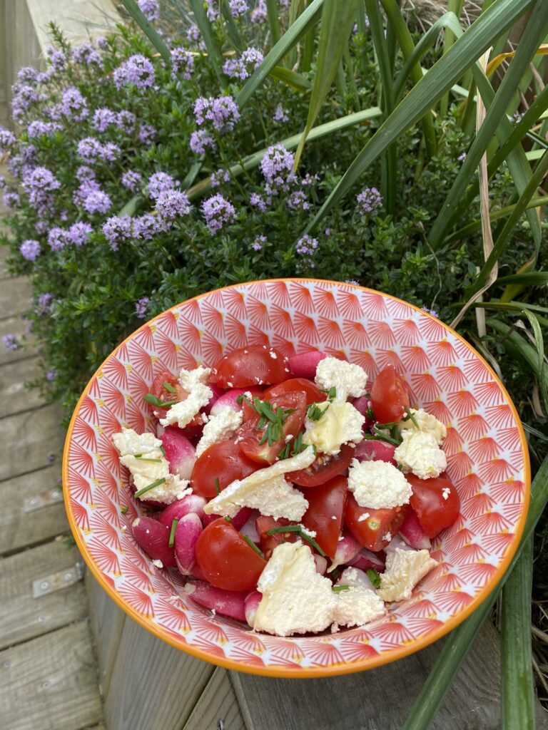 Saint Quentin, Chauny, Familistère, Eurovélo3... Vive l'Aisne ! 77 salade fromage de chevre