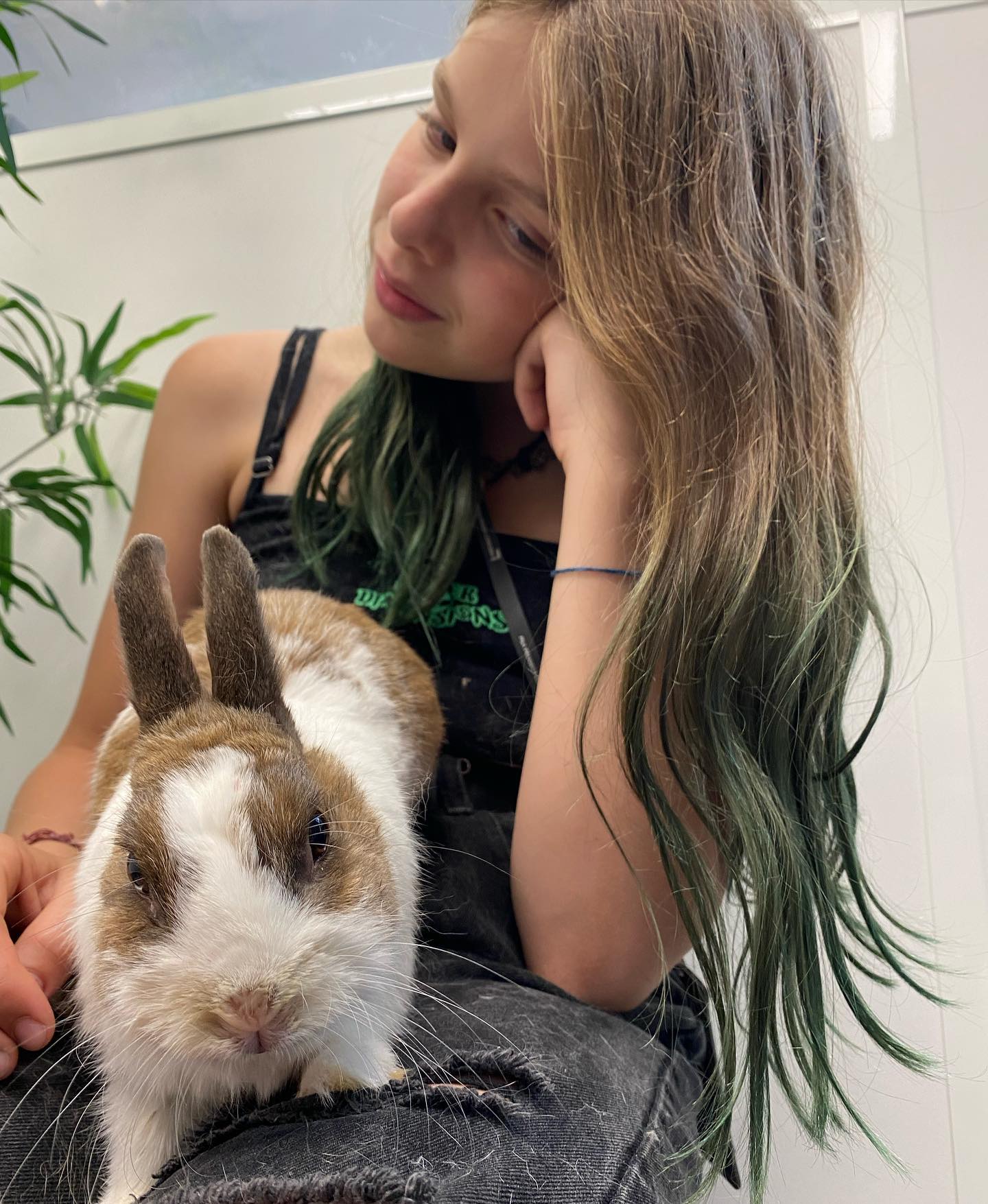 Au-revoir Nipalou 4 Au-revoir Nipalou? - Grosse tristesse par ici. Siloë a perdu son lapin, celui qui avait régulièrement des soucis de dents. Sa dernière infection n’a pas pu être soignée par les vétérinaires. En tant que parent, je me sens désemparée par la puissance du chagrin de ma fille. Une sorte de lame de fond qui embarque sûrement avec elle tous ses ressentiments, ses sentiments d’injustice. Elle pleure son lapin, elle pleure pour toutes ses tristesses. Et moi aussi d’ailleurs. Je pleure le chagrin de ma fille et tous les miens. Dans notre famille, la larme vient facilement et je crois que c’est une chance. Je ne sais pas si on accueille les émotions, comme disent les gourous du dev perso, mais on ne les refoule pas, c’est sûr. Je me suis dit une autre chose en voyant mon fils aîné câliner sa petite soeur, creuser la tombe d’un animal qui l’indifférait, juste pour accompagner le chagrin de Siloë, ses deux autres adelphes se sentir aussi plein d’empathie pour elle… Ils sont un clan. Peu importe leurs pensées et leurs croyances, quand le chagrin est là, ils resserrent les rangs. En tant que parent, je regarde cela comme un trésor. Je ne fanfaronne pas. Je n’ai aucune idée de comment on en arrive là et j’ai souvent douté de ce possible quand ils étaient petits. Je le raconte comme un espoir, sans mode d’emploi. Quand nos enfants grandissent, ils font aussi des choix d’humains, ils ont des envies de vivre ensemble qu’ils n’avaient peut-être pas avant. Gardez espoir ?Des bisous magiques sur tous vos chagrins et vos larmes #nipalou #animauxdecompagnie #lapinnain #chagrin