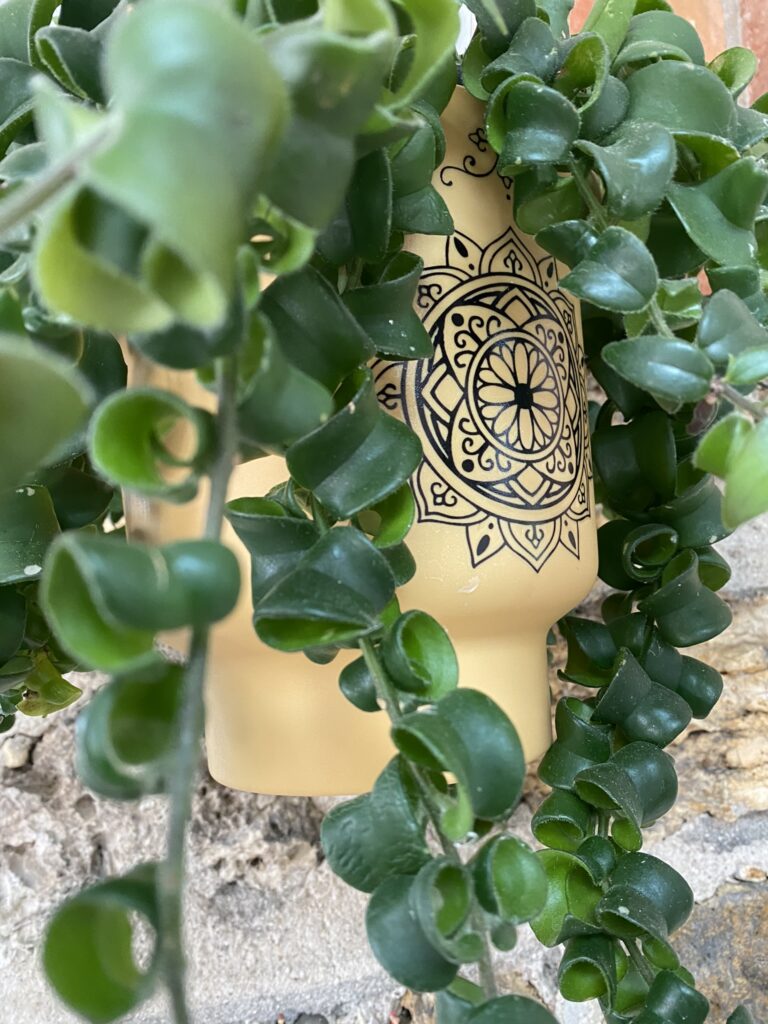 Je tatoue mes pots de plantes (et j'aime ça) 5 tatouage éphémère sur pot