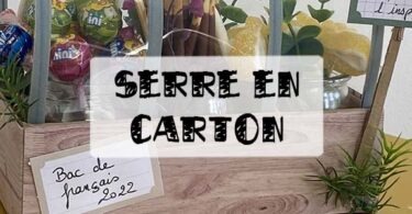 mini serre en carton