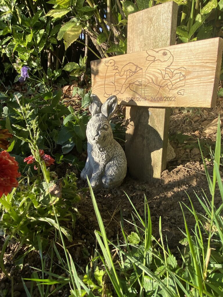 son lapin est mort : perte d'un animal familier