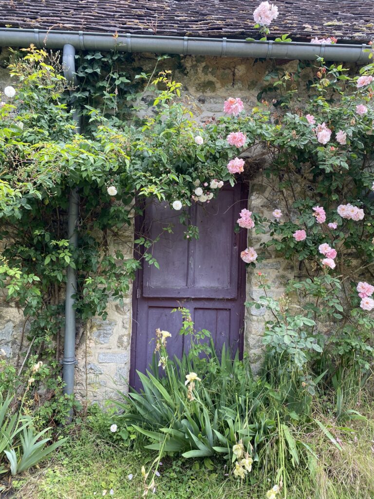 les rosiers de gerberoy