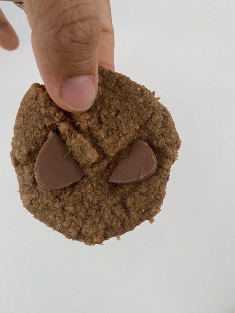 J'ai testé la cuisson en voiture des cookies ! 5 IMG 8550