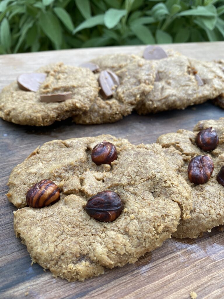 tuto cookies cuisson voiture basse température