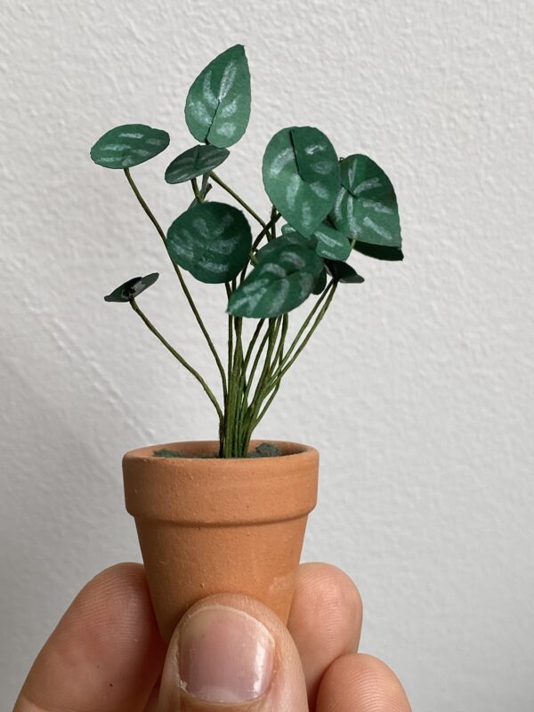 kit mini plante en papier