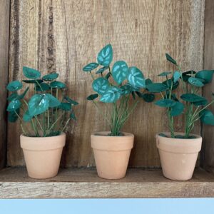 kit mini plante en papier