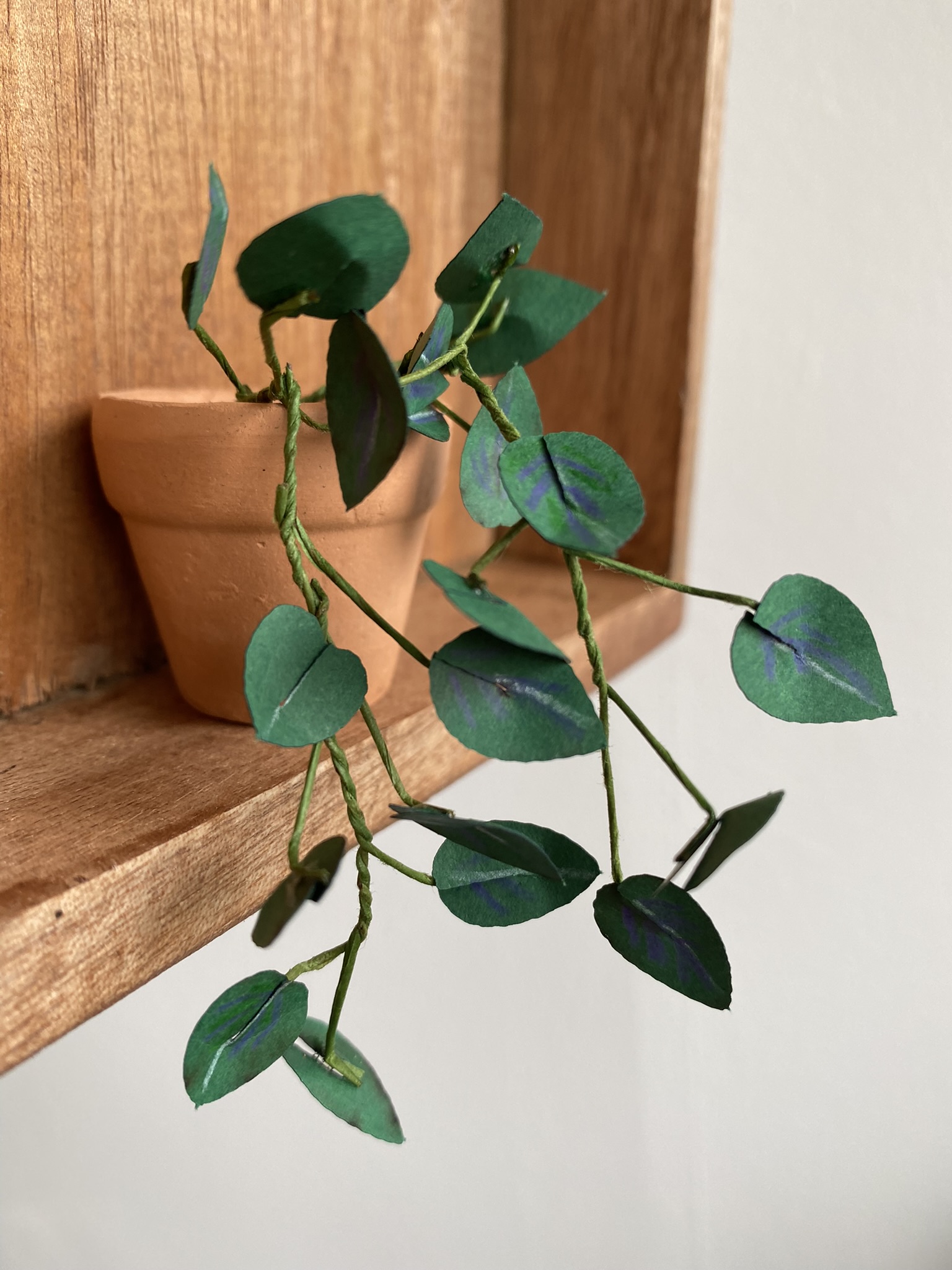 Kit mini plante en papier - Ciloubidouille