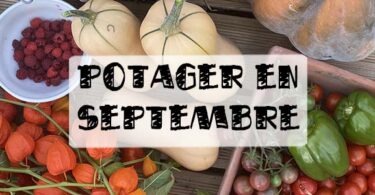 potager en septembre