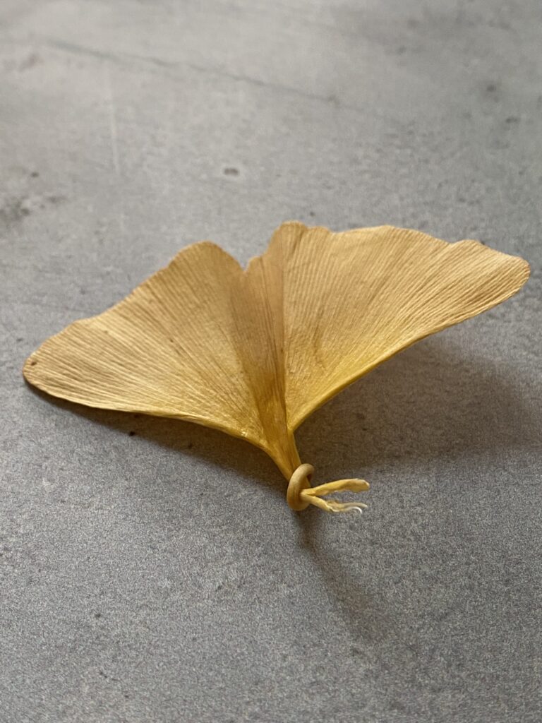 Papillon ginkgo : fabriquer un papillon à partir de feuille de ginkgo