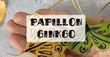 papillon feuille ginkgo