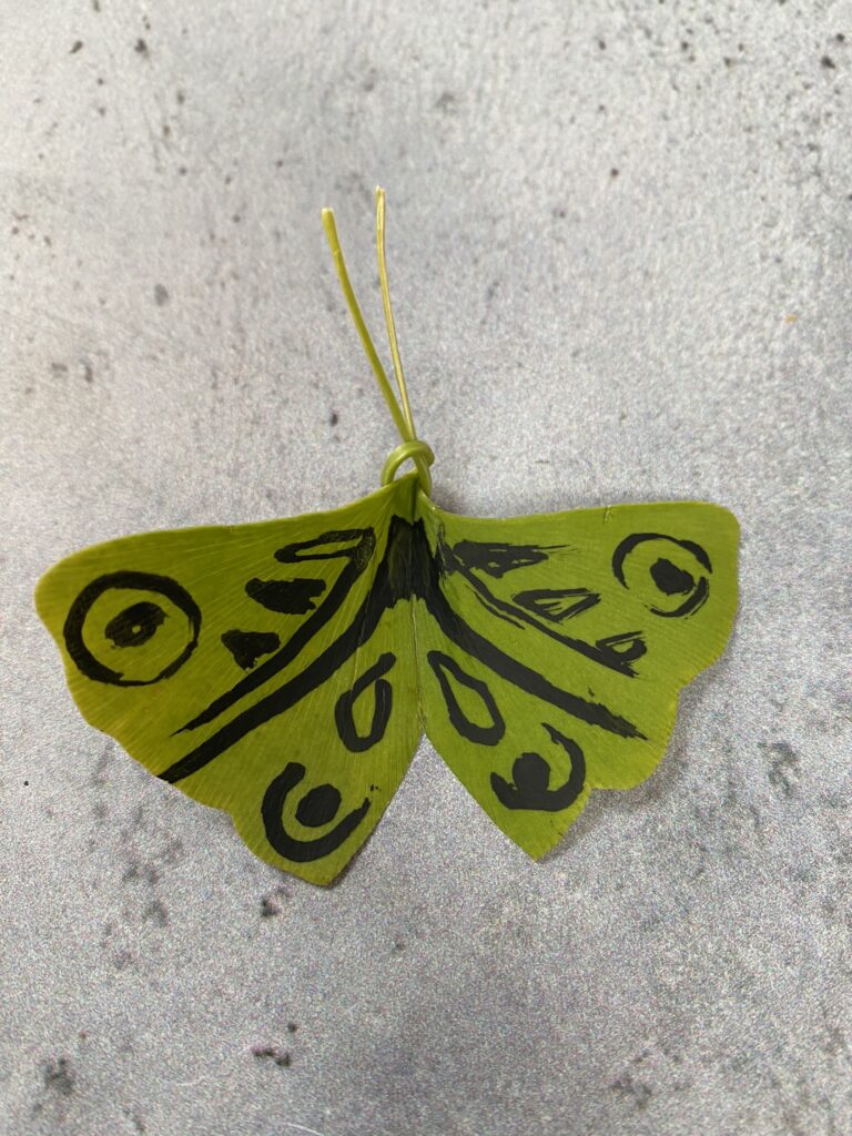 Papillon ginkgo : fabriquer un papillon à partir de feuille de ginkgo