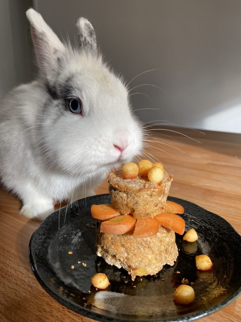 Gâteau lapin avec modelage - vidéo