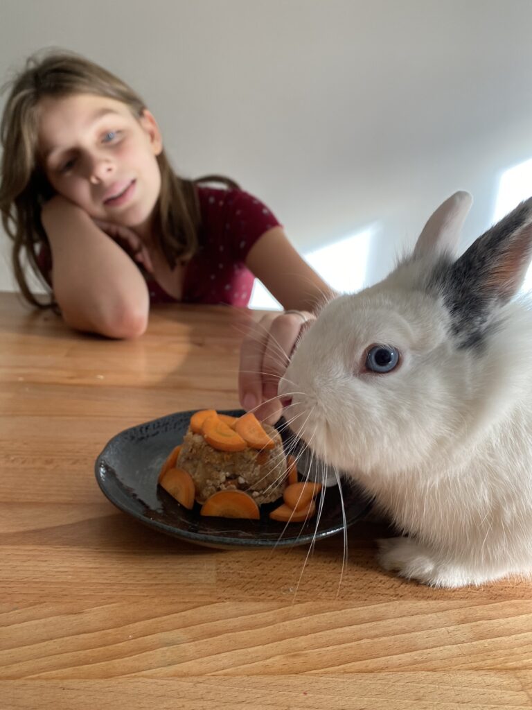 recette gâteau d'anniversaire pour lapin