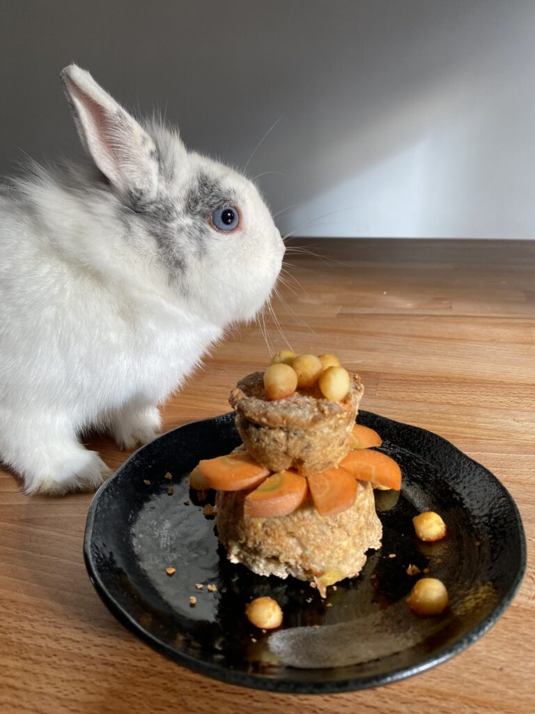 gâteau d'anniversaire pour lapin nain