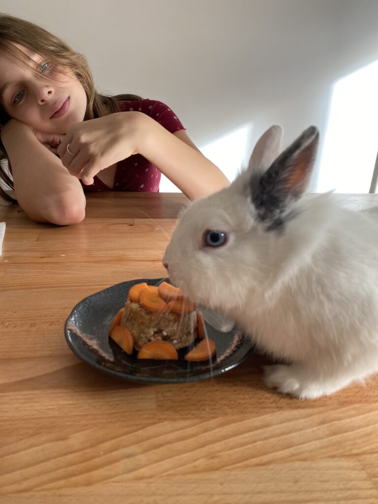 recette de gateau danniversaire pour lapin nain