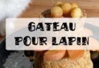 gâteau d'anniversaire pour lapin nain