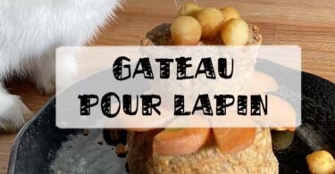 gâteau d'anniversaire pour lapin nain