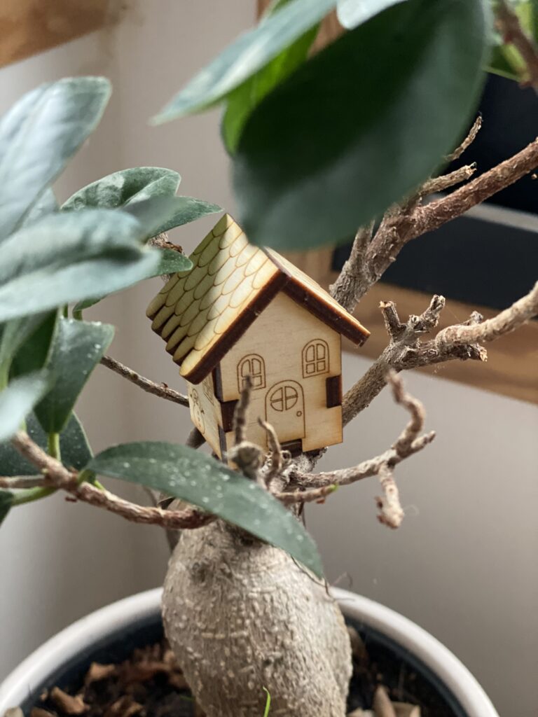 mini maison en bois installée dans une plante