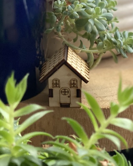 mini maison en bois installée à côté d'une plante