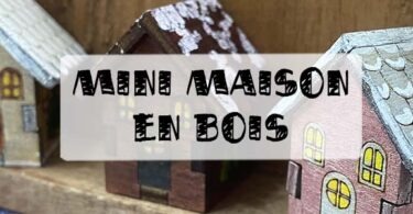 mini maison en bois 1