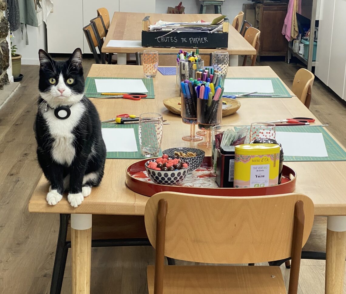 Chat sur une table, sur la table il y des ciseaux, du papier, les markers, feutres, un petit apéro, des cutters et des planches de protection.  