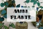 mini plante en papier